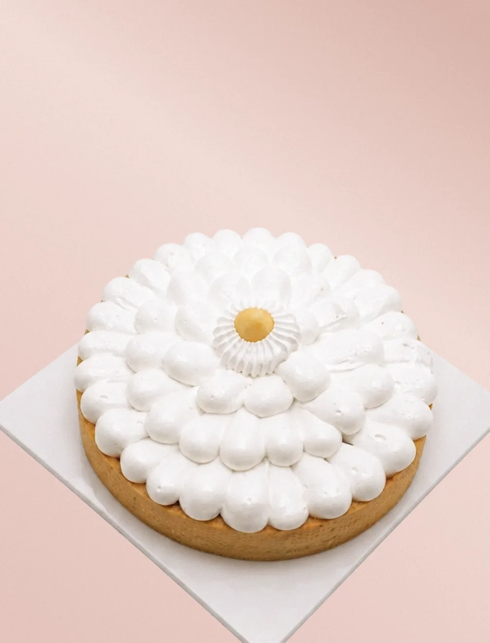Lemon Pie